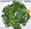 Imagen de FLOR X ENREDADERA HOJA 2M 2.25